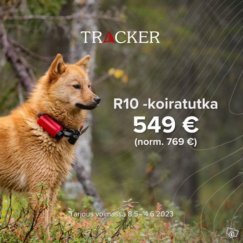 Tracker R10 koirapanta tarjous